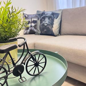 Apartamento de 1 Dormitorio